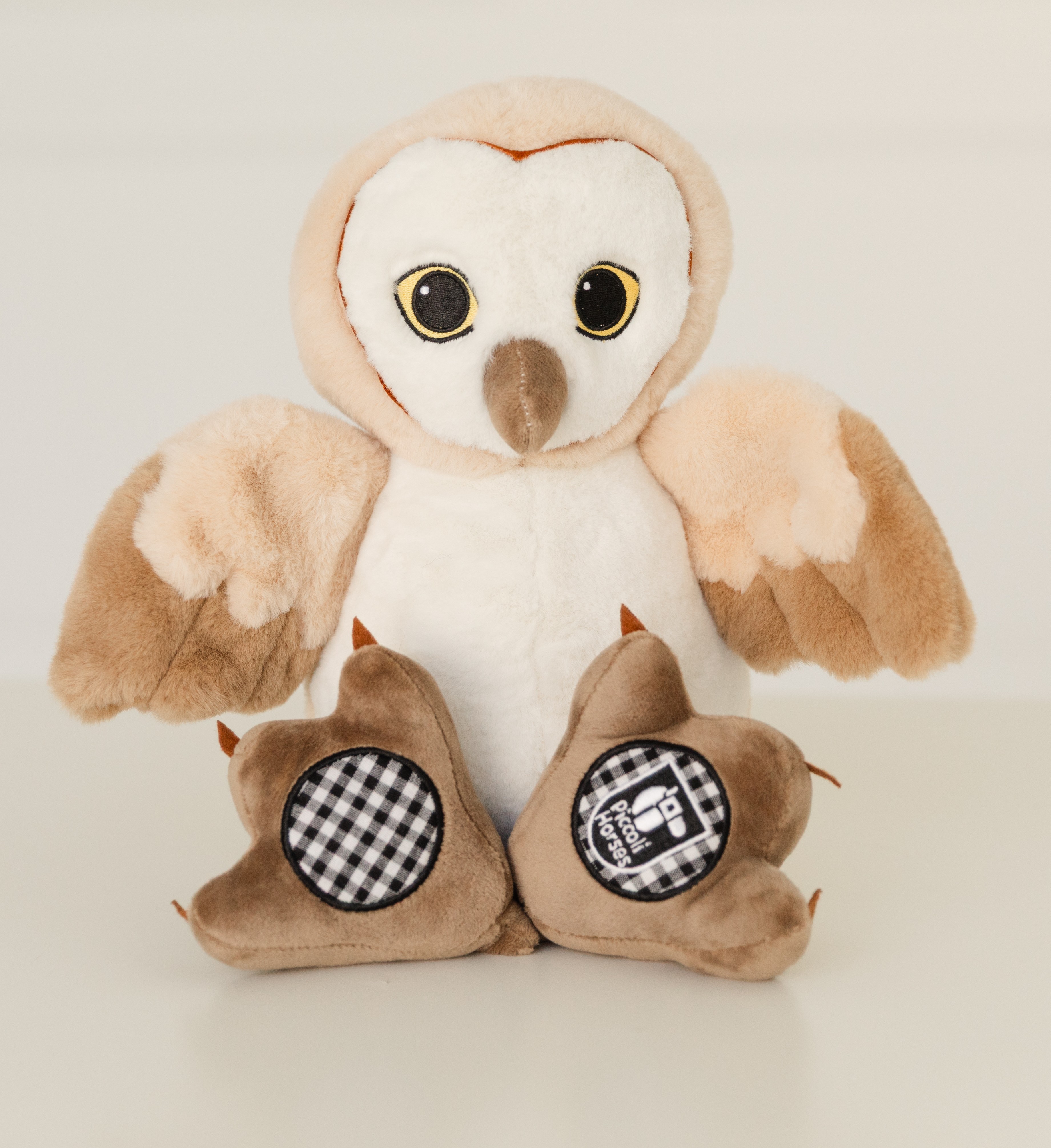 Barn Owl Book